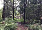 2014-08-01 10.21.35